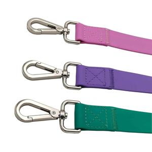 Luxus anpassbare PVC-Hunde leine Wasserdicht geruchs neutral und beschädigung beständig mit Nylon-Hakens chnalle und Modedesign - Product Image 3