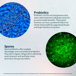 Chất lượng cao Probiotics viên nang cho phụ nữ và nam giới hỗ trợ bào tử dựa Men vi sinh sức khỏe tiêu hóa Probiotics chiết xuất thực vật - Product Image 5