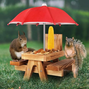 Mangeoire pour écureuils en bois carbonisé avec parasol, mangeoire pour écureuils, table de pique-nique pour l'extérieur, mangeoire pour chipmunks imperméable - Product Image 1