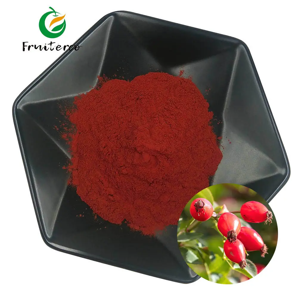 Frutierco Supply High Quality Rose Hip Fruit Extract Vitamin C 5% Anti-aging Juice Powder