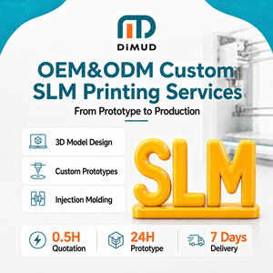 Servicio de Impresión 3D en Aluminio, Titanio y Acero Inoxidable OEM SLM, Prototipos Metálicos, Proveedor de Piezas para la Industria Aeroespacial y Automotriz - Product Image 1