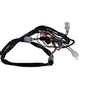 Nouvel arrivage PY50 PW50 Câble électrique Assy pour petite <span class=keywords><strong>moto</strong></span> de <span class=keywords><strong>cross</strong></span>-country pour le <span class=keywords><strong>prix</strong></span> promotionnel - Product Image 4