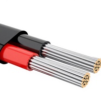 Kabel Fleksibel PVC Tembaga Berlapis Timah 2-Konduktor NAOEVO 14 AWG untuk Kabel Lampu Otomotif/Kelautan 12V