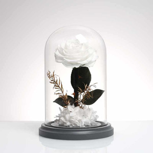 TC Distinctive Little Prince Rosa Eterna Preservata in Cupola di Vetro, Set Regalo per San Valentino, Regalo per Ragazze - Product Image 3