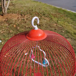 Demir malzeme portege sıcak satış büyük yuvarlak kuş kafesi - Product Image 5