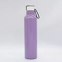Botella Deportiva Aislada Unisex de 750 ml con Asa, Logotipo Personalizado, Acero Inoxidable al Vacío, Tapa de Plástico, Libre de BPA, a Prueba de Fugas, Térmica de 12-24 Horas