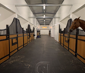 Cancelli a Battente Olandesi Permanenti per Stalle di <span class=keywords><strong>Cavalli</strong></span>, Pannelli Moderni per Esterni, Box per <span class=keywords><strong>Cavalli</strong></span> <span class=keywords><strong>in</strong></span> Metallo di Lusso Personalizzati - Product Image 5