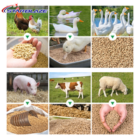 Machine à granulés d'aliments pour animaux CE à moteur diesel pour la production d'aliments pour volailles, porcs et bovins sur les petites exploitations agricoles