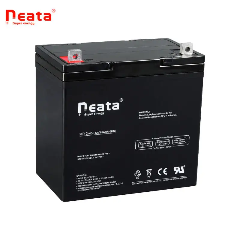 Rechargeable SLA Batteries Free Maintenance Deepcycle Gel Batteries 12v 45ah