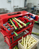 Fabrieksdirecte verkoop fruit suikerriet schiller automatische suikerriet schilmachine snelle suikerriet schil- en schraapmachine