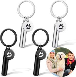 Porte-clés commémoratif empreinte de patte, pendentif urne pour cendres de chien, <span class=keywords><strong>chiot</strong></span>, chat, chaton, en acier inoxydable, support de crémation souvenir - Product Image 2