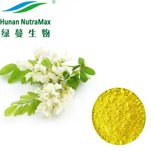 Estratto di quercetina pura CAS 117-39-5 Sophora Japonica estratto di fiori per integratore di quercetina