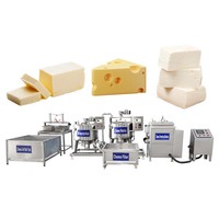 Cuve à fromage en acier inoxydable 200 litres 300 litres, nouvelle ligne complète de production de fromage mozzarella, feta et beurre, équipement de traitement du lait