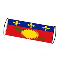 Fans évolutifs Bannières de drapeaux défilants personnalisables pour les événements sportifs Équipe acclamant la Guadeloupe