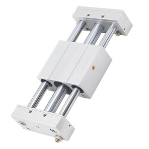 Cylindre sans tige magnétique série Rmtl 6 10 15 20 25 32 40 mm, actionneur pneumatique en alliage d'aluminium - Product Image 1