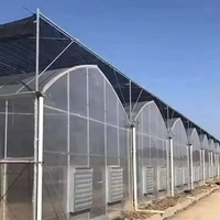 Serre multispan à bas prix pour légumes Serre agricole rentable de qualité supérieure Serre personnalisée à vendre