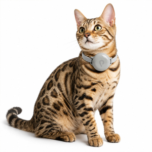 <span class=keywords><strong>Collier</strong></span> intelligent <span class=keywords><strong>pour</strong></span> <span class=keywords><strong>chat</strong></span> et chien <span class=keywords><strong>avec</strong></span> suivi du comportement par IA, localisation <span class=keywords><strong>GPS</strong></span> <span class=keywords><strong>pour</strong></span> la surveillance de la santé et la sécurité en extérieur - Product Image 1