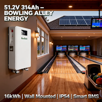 Baterai Lithium Ion 16kWh 48V 51.2V 314Ah untuk Sistem Penyimpanan Baterai Surya, Terpasang di Dinding dengan Roda