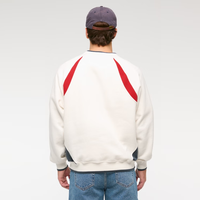 Sweat à capuche unisexe en coton de haute qualité, impression personnalisée, vêtements de sport décontractés d'automne, coupe régulière, broderie 3D, ODM