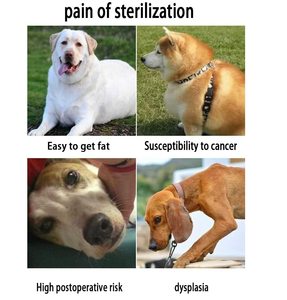 Juguetes de silicona para perros con simulación de apareamiento, juguetes para perros para aliviar el estrío, juguetes sexuales para perros - Product Image 3