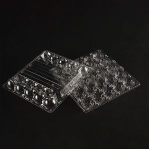 Bandeja para Huevos de Plástico Transparente al Por Mayor, 25 Cavidades, Plástico PET Reciclable, Muestras Gratis - Product Image 4