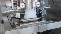 Machine d'emballage automatique de glaçons avec peseuse à vis à double tête pour l'emballage en sacs de glace et en sacs oreiller