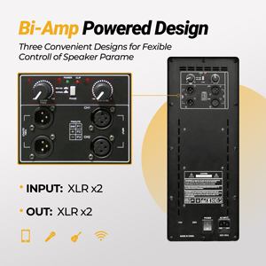 Système de caisson de basses actif alimenté par amplificateur de classe D Rqsonic WHN18S1 professionnel audio 18 pouces 400W - Product Image 4