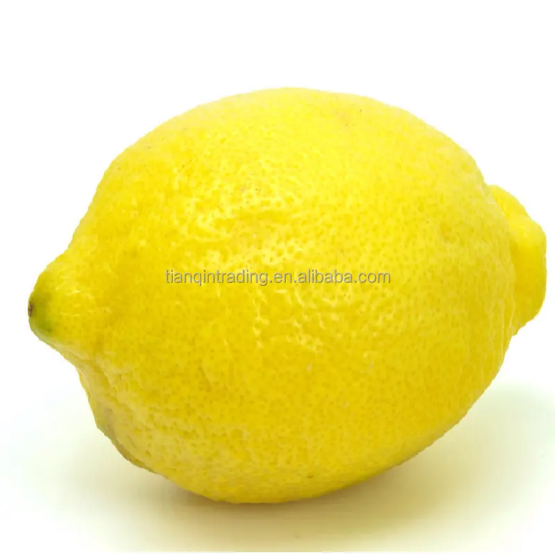 Свежий лимон по оптовой цене с китайского завода