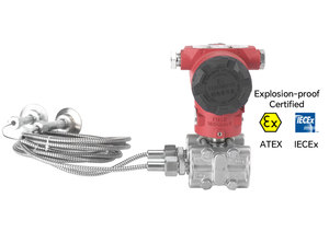 Sensores Diferenciales de Nivel de Agua Remotos ATEX 3051 en Venta - Product Image 5