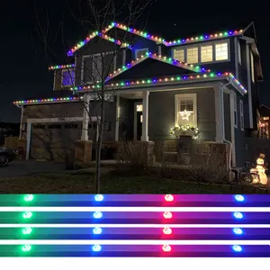 Proiettore per la decorazione della casa all'aperto Rgb 48V Point Light luci natalizie permanenti