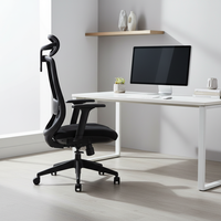 Chaise de bureau ergonomique en tissu maillé de luxe, cadre en aluminium, hauteur réglable, pivotante, design traditionnel pour l'école, l'atelier