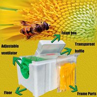 Ruches de reproduction en polystyrène BAIFENG BEE neuves avec garantie d'un an pour l'apiculture