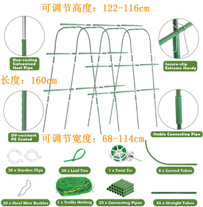 Pepinos trepando por tubos flexibles arqueados hechos de varas de bambú para su soporte. Se utilizan para huertos y invernaderos. - Product Image 4