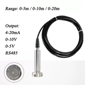 משדר חיישן מפלס נוזלים טבול נגד סתימות SS304 מיכל מים ביוב נהר באר עמוקה טווח 5 מטר 4-20mA 0-10V RS485 - Product Image 2
