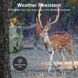 Cámara de Caza - Cámara de Caza 4K con Visión Nocturna, Activación por Movimiento en 0.05s, Cámara Resistente al Agua IP66 - Product Image 5