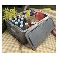 Superbe glacière portable en mousse EPP de qualité supérieure, isolée thermiquement, à motif rayé, pour le camping en extérieur et le stockage alimentaire