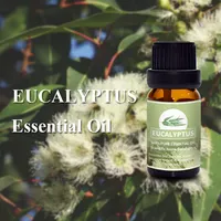 Huile essentielle d'eucalyptus classiques, étiquette privée, 100% Pure plante naturelle, vente en gros