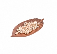 Japanse stijl houten dienblad, milieuvriendelijk, onregelmatig design, dinerbord voor restaurant, sushi, zalm, gedroogd fruit, dessert, voor kamperen