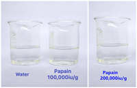 Poudre d'extrait de papaye, enzyme papaïne 50000u/g, poudre de papaïne 100000u/g, papaïne