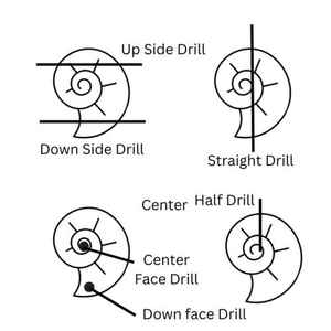 Cuentas de concha tallada de amatista, piedra preciosa tallada a mano en forma de concha de caracol, encanto de concha marina - Product Image 6