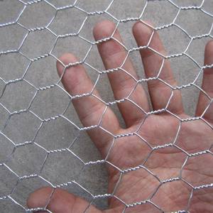 Malla <span class=keywords><strong>hexagonal</strong></span> de <span class=keywords><strong>alambre</strong></span> de hierro galvanizado de malla fina para aves de corral, malla de <span class=keywords><strong>alambre</strong></span> para gallinas de agujero pequeño, jaulas para pollitos, jaulas para codornices, jaulas para aves jóvenes - Product Image 2