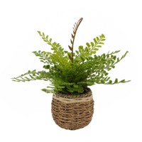 Plantes artificielles miniatures en pot Tizen, plantes artificielles en pot de type fougère, décorations végétales artificielles pour la maison