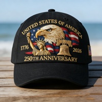 Topi Bordir 3D USA Peringatan 250 Tahun Hari Kemerdekaan 4 Juli Patriot Kebebasan Bendera Amerika Katun Grosir untuk Acara
