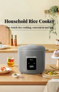 Appareils électriques de haute qualité cuiseur à riz prix poêle antiadhésive cuiseur à riz commercial pour hôtels et restaurants