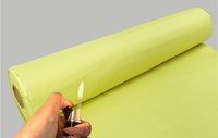 Tissu tissé en meta-aramide ignifuge de haute qualité à 100 % pour les pompiers, l'aérospatiale, les vêtements de travail et les voitures – pour garçons