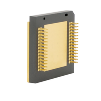 Capteur thermique LWIR RTDS123C 12 µm 1280x1024 40mk NETD Microbolomètre VOx Boîtier céramique pour vision nocturne et surveillance de sécurité