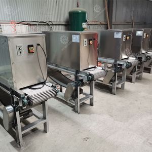 Sbucciatrice per aglio a catena a 500 KG/H - Product Image 2