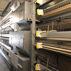 Jaulas para Gallinas Ponedoras Tipo H Galvanizadas, Nuevo Diseño, Gran Venta, para Granjas Avícolas - Product Image 6