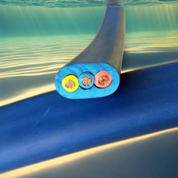 Câble de pompe submersible plat basse tension HUAQI 600V 16mm² 3 et 4 conducteurs, gaine isolante en caoutchouc IEC pour l'exploitation minière H07RN-F