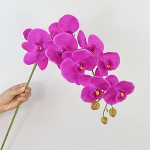 Flores <span class=keywords><strong>de</strong></span> tacto real <span class=keywords><strong>Flor</strong></span> <span class=keywords><strong>de</strong></span> imitación Orquídea artificial Orquídea <span class=keywords><strong>de</strong></span> seda blanca <span class=keywords><strong>Planta</strong></span> Phalaenopsis Flores para la decoración del hogar - Product Image 4